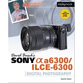 David Busch’s Sony Alpha A6300/ILCE-6300 Guide to Digital Photography