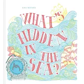 What’s Hidden in the Sea?