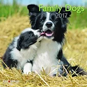 Family Dogs A&I 2017 Calendar
