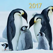 Penguins 2017 Calendar