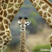 Baby Animals 2017 Calendar