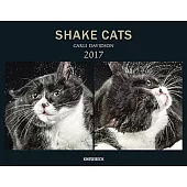 Knesebeck Shake Cats 2017 Calendar