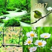 Beautiful Moments A&I 2017 Calendar