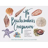 The Beachcomber’s Companion: An Illustrated Guide to Collecting and Identifying Beach Treasures