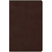 The Holy Bible: Christian Standard Bible, Brown, Leathertouch, Ultrathin Bible