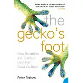 The Gecko’s Foot: How Scientists Are Taking a Leaf from Nature’s Book
