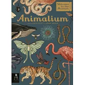Animalium: Welcome to the Museum