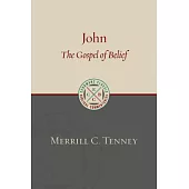 John: The Gospel of Belief: An Analytic Study of the Text