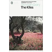The Kites (Penguin Modern Classics)