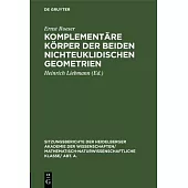 Komplementäre Körper der beiden nichteuklidischen Geometrien