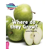 Where Do They Grow? Pink B Band