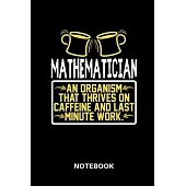 Mathematician - Notebook: Lined notebook for mathematicians to track all informations of daily work life for men and women