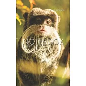 Notebook: animal monkey mammal zoo primate monkies