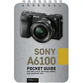 Sony A6100: Pocket Guide: Buttons, Dials, Settings, Modes, and Shooting Tips