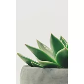 Notebook: plant succulent potted white space