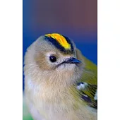 Notebook: Goldcrest Bird Small Birds Gold Crest