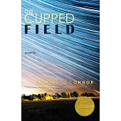 The Cupped Field