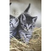 Notebook: cat young animal kittens mackerel domestic