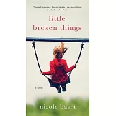 Little Broken Things