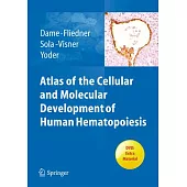 Atlas of the Cellular and Molecular Development of Human Hematopoiesis