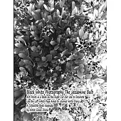 Black White Photography The Jessamine Bulb Art Prints in a Book