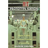 Prototype Nation: China and the Contested Promise of Innovation