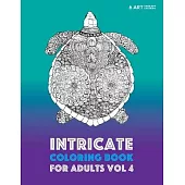 Intricate Coloring Book For Adults Vol 4