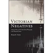 Victorian Negatives: Literary Culture and the Dark Side of Photography in the Nineteenth Century