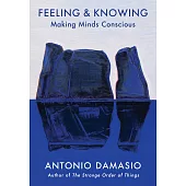 Feeling, Being, and Knowing: A Manifesto on Consciousness