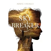 Sky Breaker