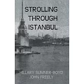 Strolling Through Istanbul
