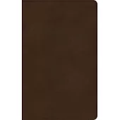 KJV Ultrathin Bible, Brown Leathertouch