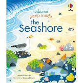 翻翻探索遊戲書：海岸 Peep Inside the Seashore