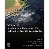 Advances in Remediation Techniques for Polluted Soils and Groundwater