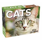 Cats 2022 Mini Day-To-Day Calendar