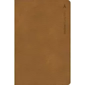 CSB Student Study Bible, Ginger Leathertouch