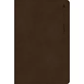 CSB Student Study Bible, Brown Leathertouch Indexed