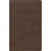 CSB Single-Column Compact Bible, Brown Leathertouch