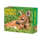 Baby Animals 2022 Box Calendar