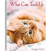 What Cats Teach Us 2022 Engagement Calendar