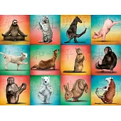 Animal Yoga 500-Piece Puzzle