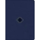 CSB Day-By-Day Chronological Bible, Navy Leathertouch