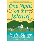 One Night on the Island