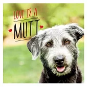 Love Is a Mutt: A Dog-Tastic Celebration of the World’’s Cutest Mixed and Cross Breeds