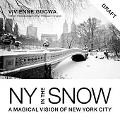New York in the Snow