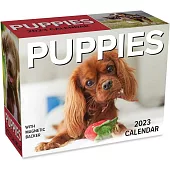 Puppies 2023 Mini Day-To-Day Calendar