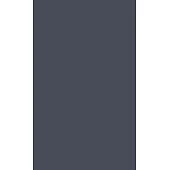 Native Agency: Indians in the Bureau of Indian Affairs