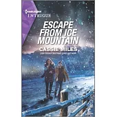 Escape from Ice Mountain