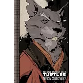 Teenage Mutant Ninja Turtles: The IDW Collection Volume 2