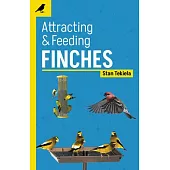 Attracting & Feeding Finches